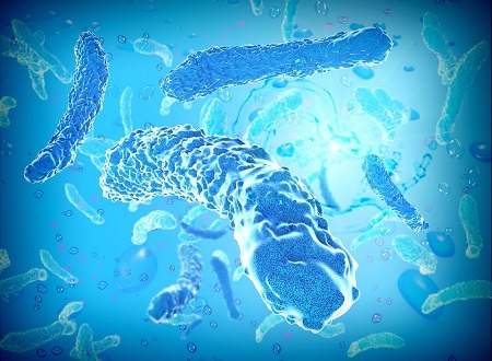 Legionella